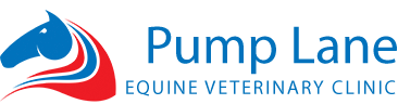 Pump Lane Equine Clinic logo image